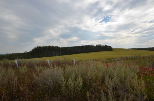 38250 Range Road 263, Rural Red Deer County, AB 