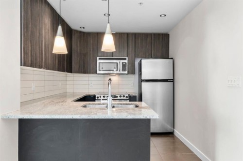 1102-788 12 Avenue Sw, Calgary, AB - Indoor Photo Showing Kitchen With Stainless Steel Kitchen With Double Sink With Upgraded Kitchen