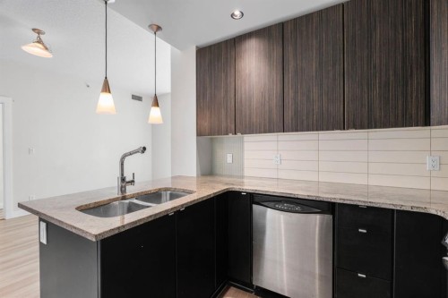 1102-788 12 Avenue Sw, Calgary, AB - Indoor Photo Showing Kitchen With Double Sink