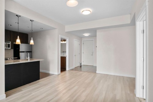 1102-788 12 Avenue Sw, Calgary, AB - Indoor Photo Showing Kitchen
