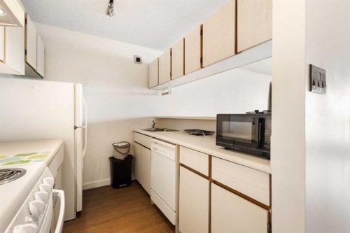 1210-221 6 Avenue Se, Calgary, AB - Indoor Photo Showing Kitchen