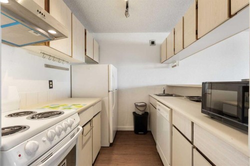 1210-221 6 Avenue Se, Calgary, AB - Indoor Photo Showing Kitchen