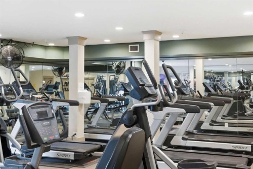 531-30 Discovery Ridge Close Sw, Calgary, AB - Indoor Photo Showing Gym Room