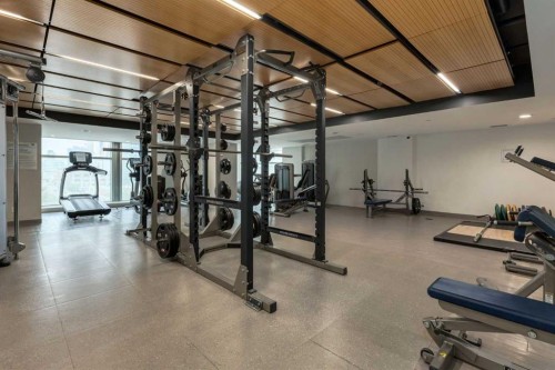 2802-1188 3 Street Se, Calgary, AB - Indoor Photo Showing Gym Room