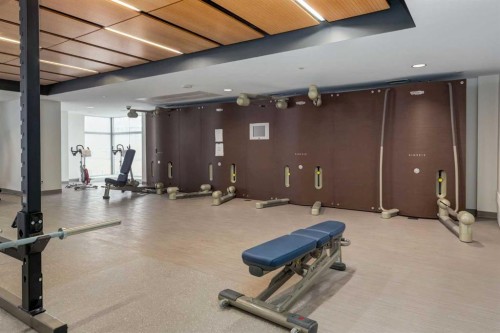 2802-1188 3 Street Se, Calgary, AB - Indoor Photo Showing Gym Room