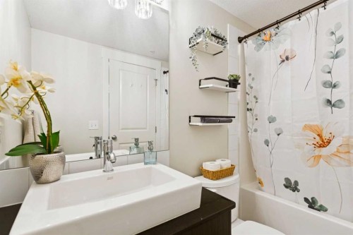 4108-155 Skyview Ranch Way Ne, Calgary, AB - Indoor Photo Showing Bathroom