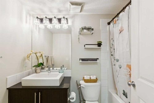 4108-155 Skyview Ranch Way Ne, Calgary, AB - Indoor Photo Showing Bathroom