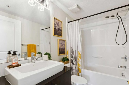 4108-155 Skyview Ranch Way Ne, Calgary, AB - Indoor Photo Showing Bathroom