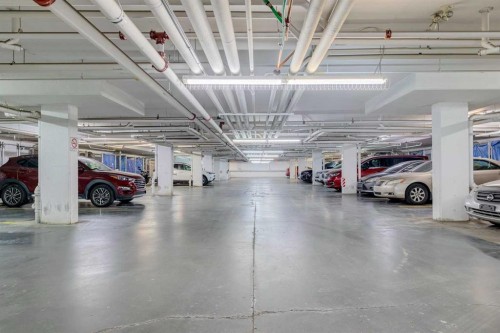 4108-155 Skyview Ranch Way Ne, Calgary, AB - Indoor Photo Showing Garage