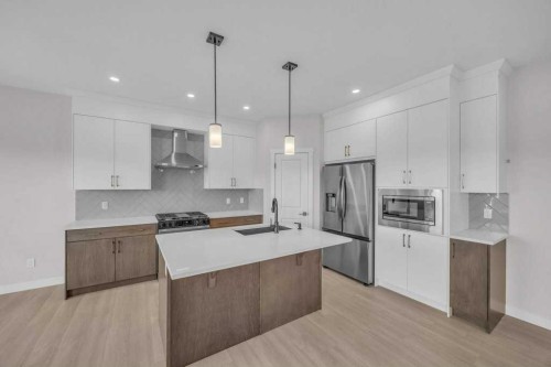 203 Homestead Common Ne, Calgary, AB - Indoor Photo Showing Kitchen With Stainless Steel Kitchen With Upgraded Kitchen