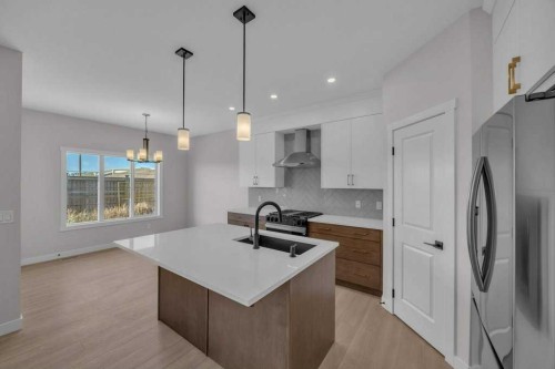 203 Homestead Common Ne, Calgary, AB - Indoor Photo Showing Kitchen With Double Sink With Upgraded Kitchen