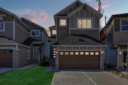 203 Homestead Common NE Calgary, AB T3J 5V7