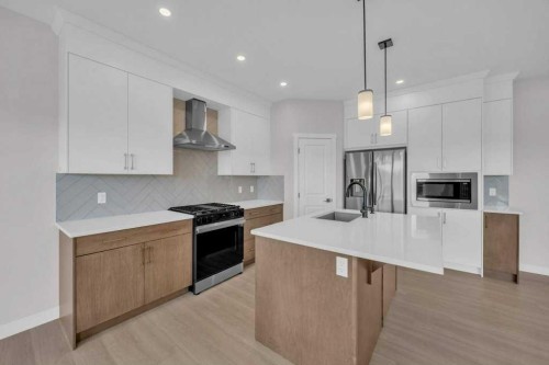 203 Homestead Common Ne, Calgary, AB - Indoor Photo Showing Kitchen With Stainless Steel Kitchen With Upgraded Kitchen