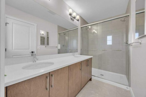 203 Homestead Common Ne, Calgary, AB - Indoor Photo Showing Bathroom