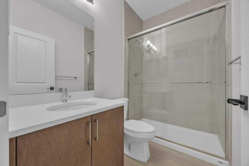 203 Homestead Common Ne, Calgary, AB - Indoor Photo Showing Bathroom
