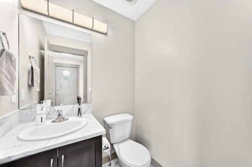 321 Skyview Ranch Drive Ne, Calgary, AB - Indoor Photo Showing Bathroom