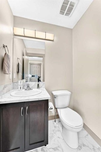 321 Skyview Ranch Drive Ne, Calgary, AB - Indoor Photo Showing Bathroom