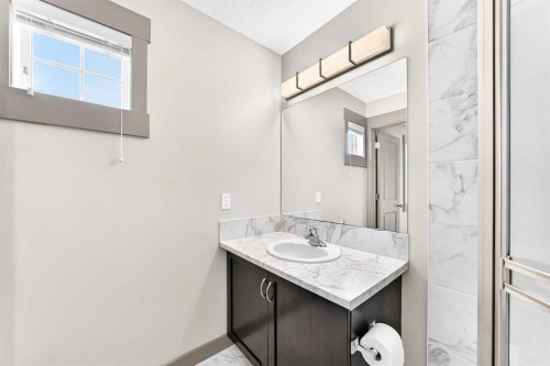 321 Skyview Ranch Drive Ne, Calgary, AB - Indoor Photo Showing Bathroom