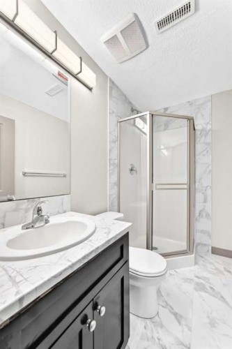 321 Skyview Ranch Drive Ne, Calgary, AB - Indoor Photo Showing Bathroom