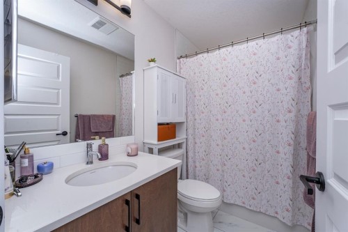 52 Lewiston Drive Ne, Calgary, AB - Indoor Photo Showing Bathroom