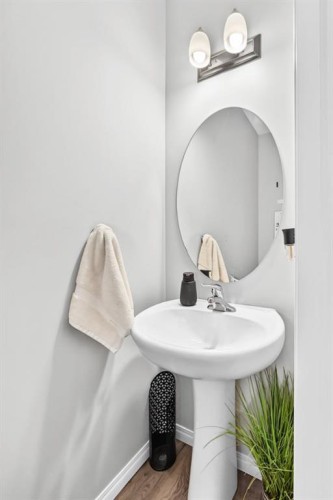 446 Windrow Common Sw, Airdrie, AB - Indoor Photo Showing Bathroom
