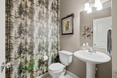 69 Everhollow Avenue Sw, Calgary, AB - Indoor Photo Showing Bathroom