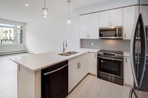 110-214 Sherwood Square Nw, Calgary, AB - Indoor Photo Showing Kitchen With Double Sink