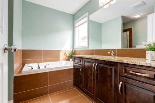 2620 Reunion Square Nw, Airdrie, AB - Indoor Photo Showing Bathroom