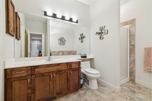 64 Bridle Estates Place Sw, Calgary, AB - Indoor Photo Showing Bathroom