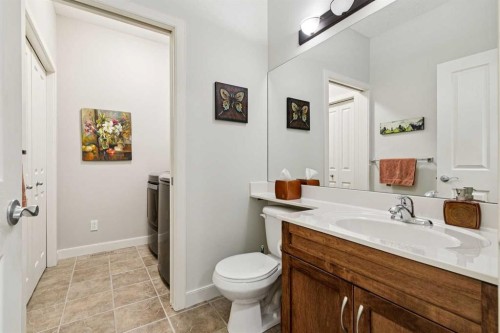 64 Bridle Estates Place Sw, Calgary, AB - Indoor Photo Showing Bathroom