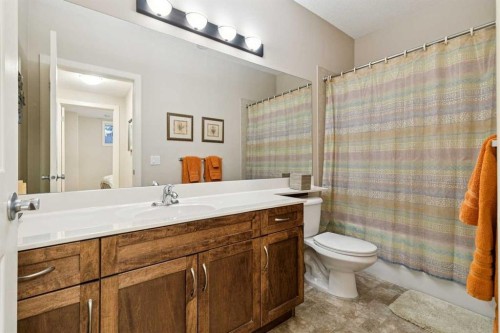 64 Bridle Estates Place Sw, Calgary, AB - Indoor Photo Showing Bathroom