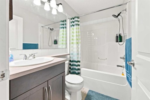 106 Autumn Crescent Se, Calgary, AB - Indoor Photo Showing Bathroom