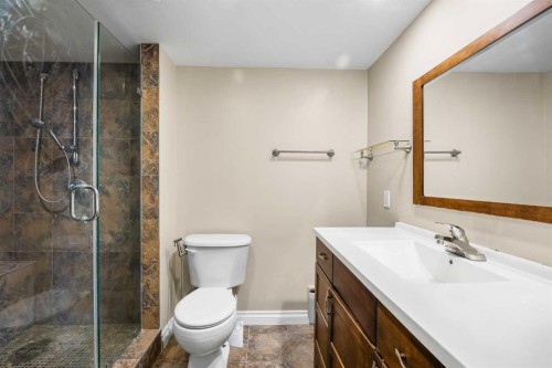 206-2010 35 Avenue Sw, Calgary, AB - Indoor Photo Showing Bathroom