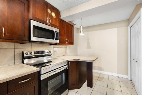 206-2010 35 Avenue Sw, Calgary, AB - Indoor Photo Showing Kitchen