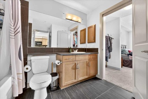 303-70 Royal Oak Plaza Nw, Calgary, AB - Indoor Photo Showing Bathroom