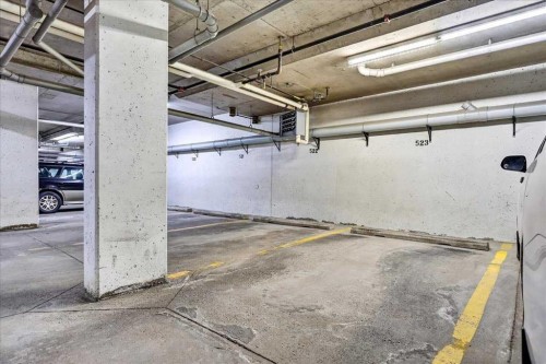 303-70 Royal Oak Plaza Nw, Calgary, AB - Indoor Photo Showing Garage