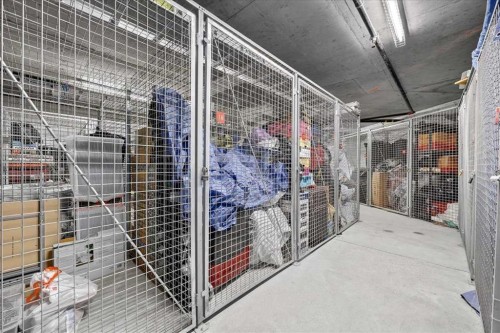 303-70 Royal Oak Plaza Nw, Calgary, AB - Indoor With Storage