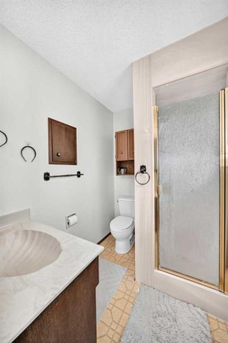 11 Rundlemere Place Ne, Calgary, AB - Indoor Photo Showing Bathroom