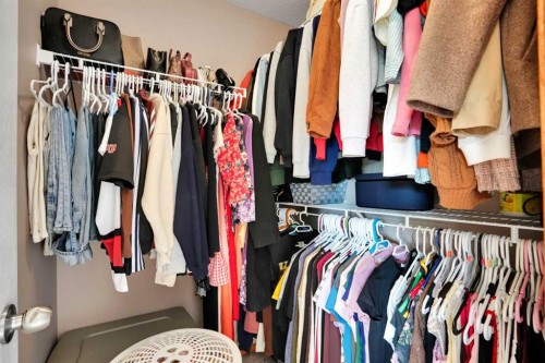 49 Saddletree Close Ne, Calgary, AB - Indoor With Storage