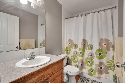 49 Saddletree Close Ne, Calgary, AB - Indoor Photo Showing Bathroom