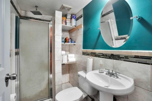 49 Saddletree Close Ne, Calgary, AB - Indoor Photo Showing Bathroom
