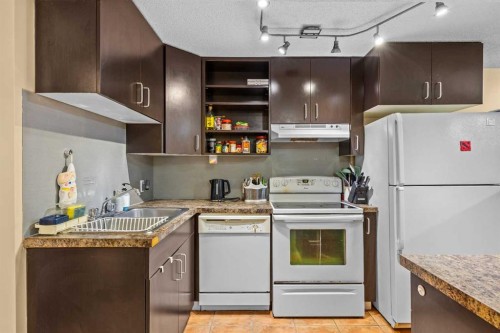 28 Erin Croft Place Se, Calgary, AB - Indoor Photo Showing Kitchen With Double Sink