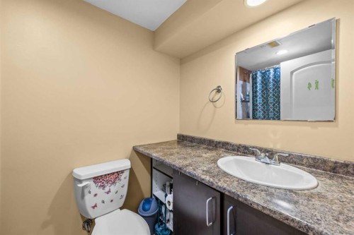 28 Erin Croft Place Se, Calgary, AB - Indoor Photo Showing Bathroom