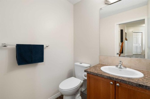 818 Copperfield Boulevard Se, Calgary, AB - Indoor Photo Showing Bathroom