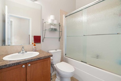 818 Copperfield Boulevard Se, Calgary, AB - Indoor Photo Showing Bathroom