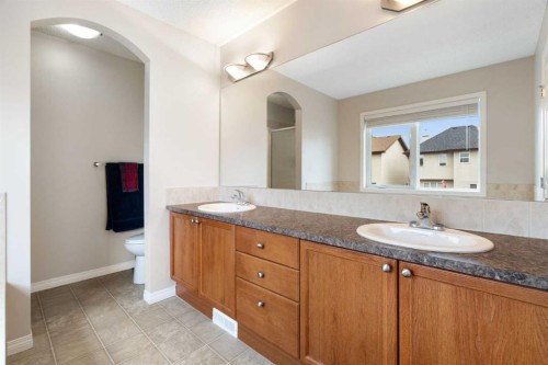 818 Copperfield Boulevard Se, Calgary, AB - Indoor Photo Showing Bathroom