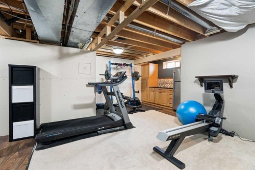 818 Copperfield Boulevard Se, Calgary, AB - Indoor Photo Showing Gym Room