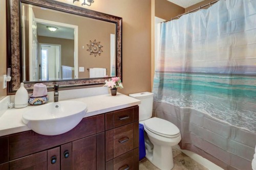 66 Copperfield Close Se, Calgary, AB - Indoor Photo Showing Bathroom