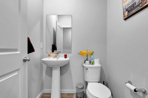 273 Lucas Avenue Nw, Calgary, AB - Indoor Photo Showing Bathroom