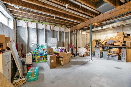 273 Lucas Avenue Nw, Calgary, AB - Indoor Photo Showing Basement